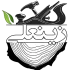 zeinali logo